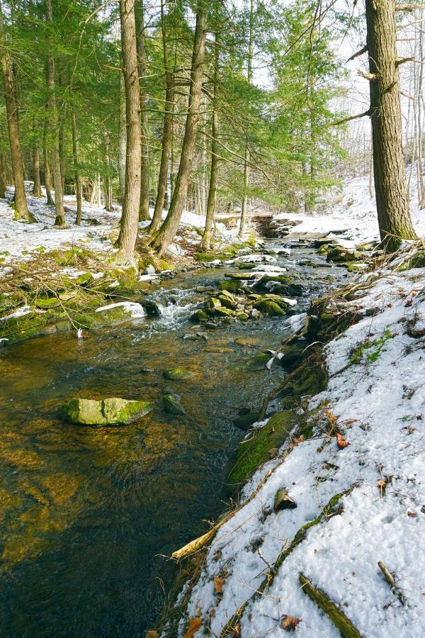 Secluded Streamside Home With Hot Tub Margaretville Zewnętrze zdjęcie